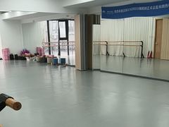 -中央芭蕾舞团·中芭艺蕾(酒仙桥明星校区)