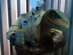 -侏罗纪世界电影特展(广州站)