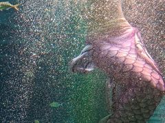-海合安青岛极地海洋公园