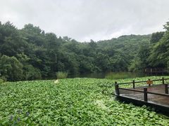-天目湖山水园