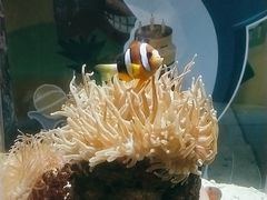 -太平洋海底世界