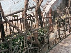 -呀路古热带植物园