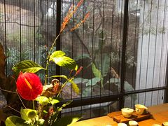 -厦门园林植物园-植物园滴水山房