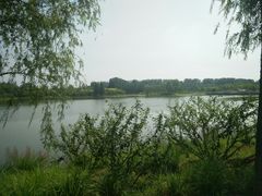 -东郊湿地公园