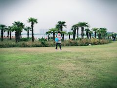 -九里湖国家湿地公园