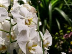 -春暖花开(西溪店)