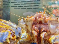 -盒马鲜生(顺义店)