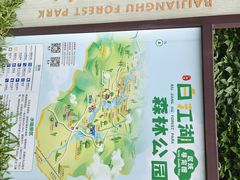 -广州白江湖森林公园