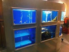 -食神鱼头佛跳墙(百子湾旗舰店)