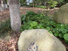 -上海鲜花港