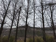 -东白山