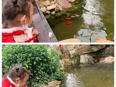 -北戴河集发农业梦想王国