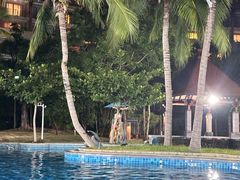 -三亚海棠湾万丽度假酒店