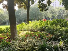 -常州古运河南大街文化旅游区-人民公园