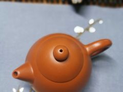 -灵龟之家百象馆(百象馆联合旗舰店)