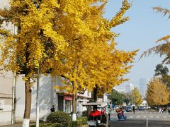 -四川大学(望江校区)
