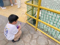 -无锡动物园·太湖欢乐园