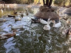 -森林公园(尖草坪区)