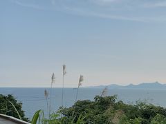 -Brew Farm·精酿农场海滨悬崖餐厅