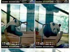 -鄂尔多斯野生动物园