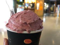 -野人牧坊Gelato(天津南开大悦城店)