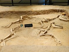 -洛阳周王城天子驾六博物馆