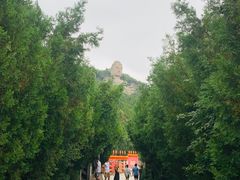 -蒙山大佛景区