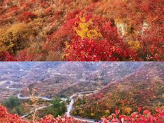 -周口店坡峰岭风景区