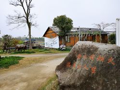 -水八仙生态园