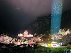 -禅宗少林·音乐大典