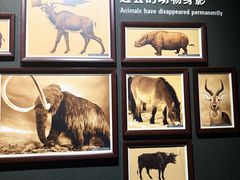 -大庆市博物馆