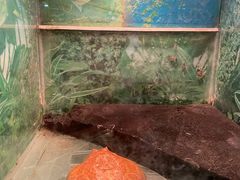 -上海大自然野生昆虫馆