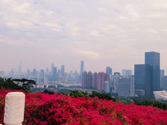-荔枝公园-小平画像广场