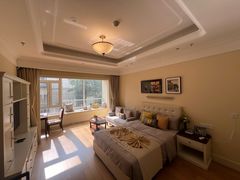 -泰康之家·申园