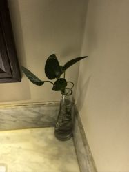 点击看大图 -禾颜社·精致美容