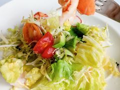 -蝶舍·MAISON PAPILLON