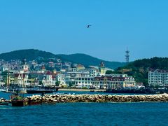 -大连老虎滩海洋公园