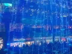 -成都浩海立方海洋公园