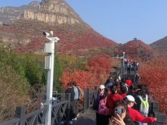 -狼牙山风景区