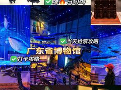 -广东省博物馆