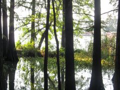 -东湖落雁景区
