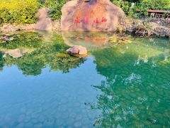 -江门古兜温泉小镇