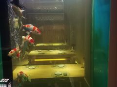 -琴寿司居酒屋(中山广场店)