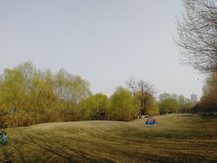 -长白岛森林公园