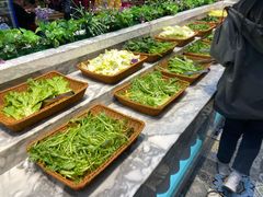 茼蒿-火锅岛潮牌自助餐厅(天津天佑城店)