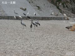 -海驴岛(荣成市)
