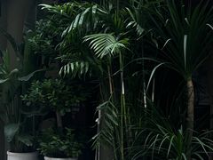 -粉八·云南米线·建水烧烤(常熟路店)
