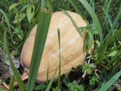 -汉中石门栈道景区