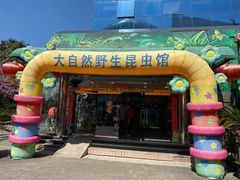 -上海大自然野生昆虫馆(东方明珠·爬宠昆虫探索中心)