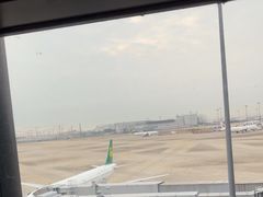 -上海浦东国际机场-T2航站楼